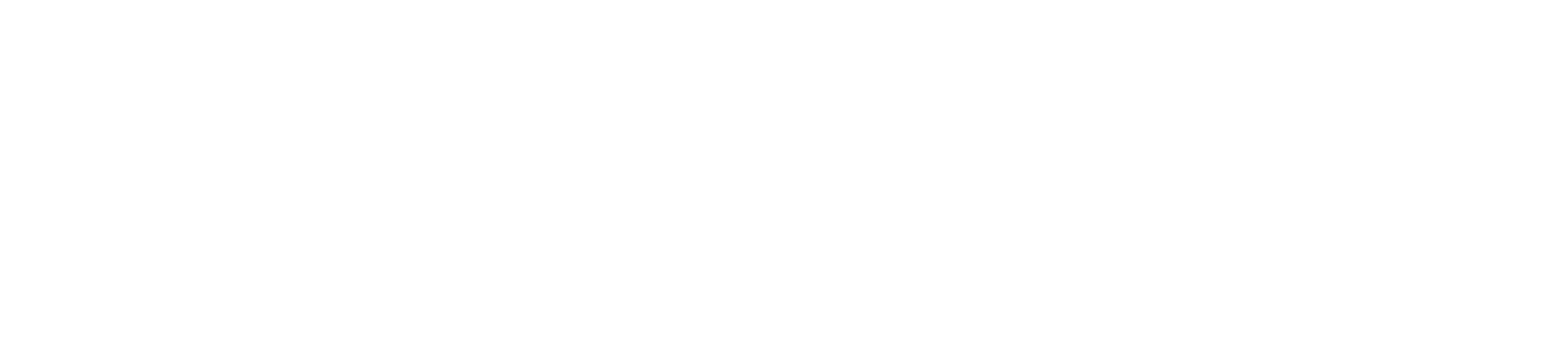 Shop Fitting logo